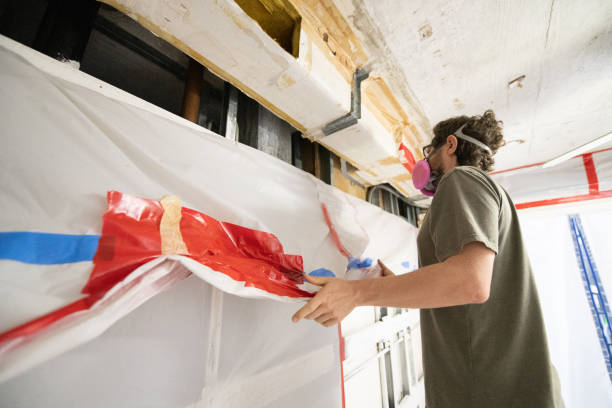 Professional Mold Removal in Wink, TX